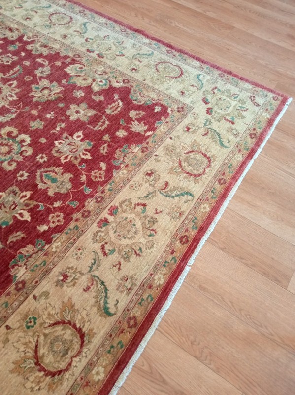 Image 6