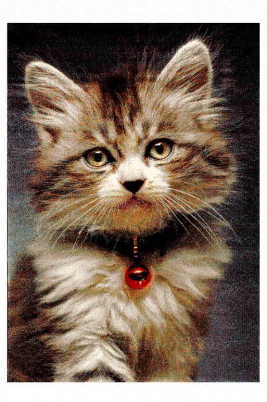 Image 0