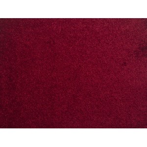 Μοκέτα Las Vegas 20